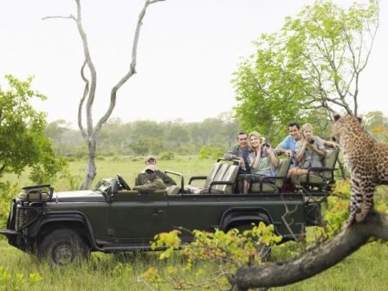 Safarirejse i Afrika