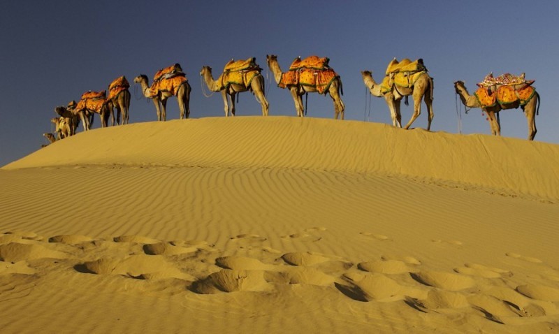 Rejs med Grace Tours til Indien