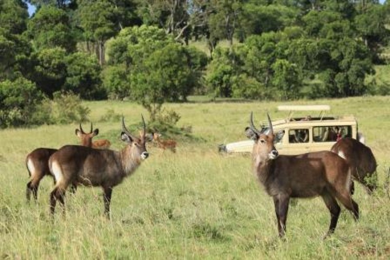 Lej et hus i Sydafrika med Golf & Safari