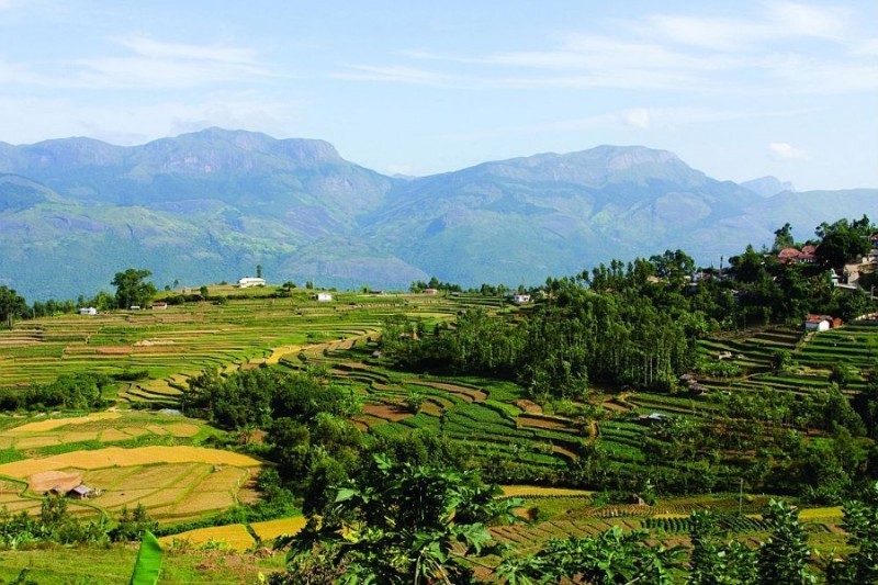 Lær om ayurveda i Nepal