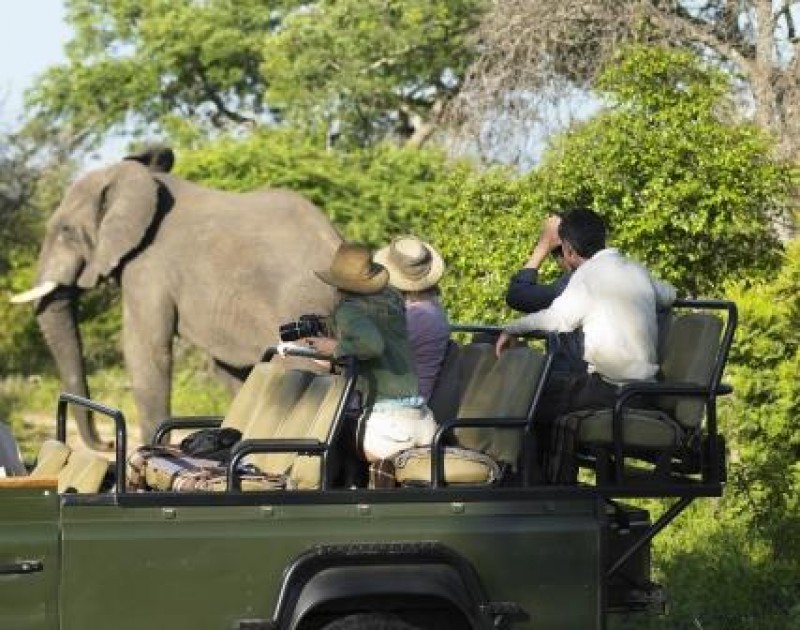 Tag på safari- og storbyrejse i Sydafrika