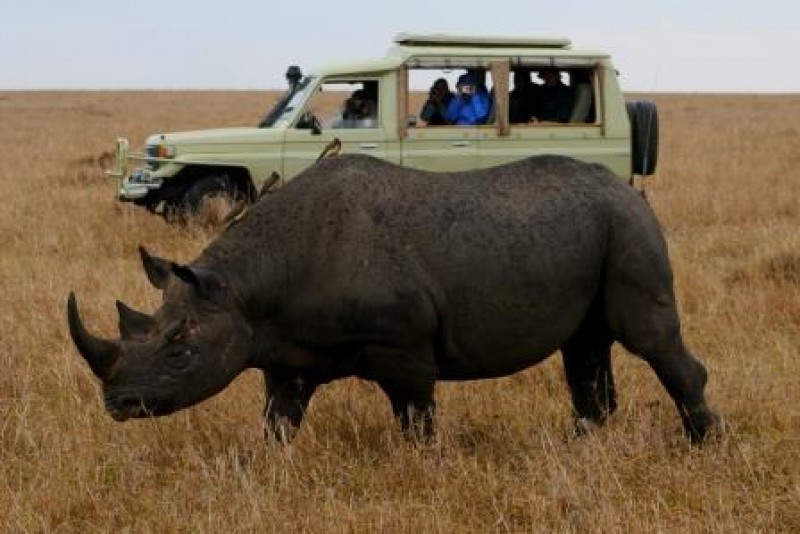 Jeg elsker Afrika