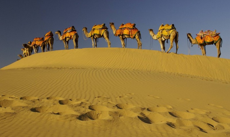 Indien rummer store oplevelsesmuligheder