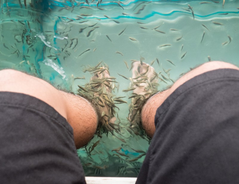 En anderledes date med fiskespa