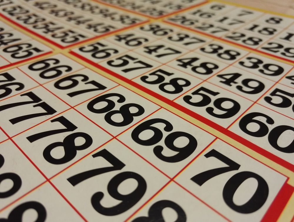 Bingoregler på spil blog