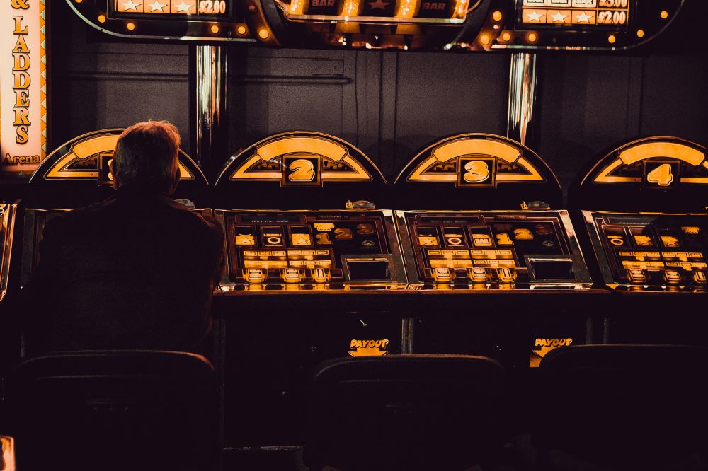 Overblik over spil med en gammel traver