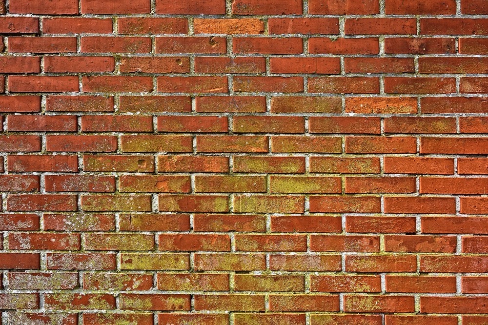 Find svamp i dit hjem med en skimmelsvamptest