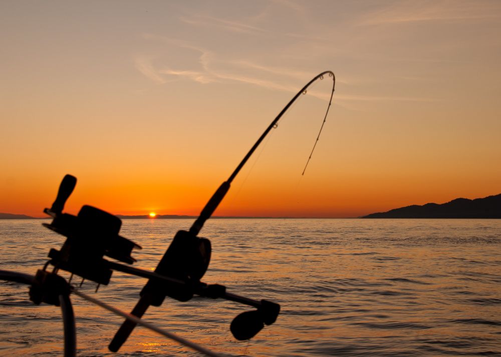 Oplev naturen tæt på med en fisketur