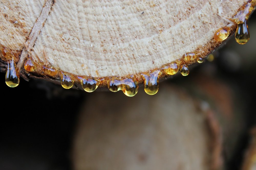 Derfor skal du forkæle din båd med epoxy resin