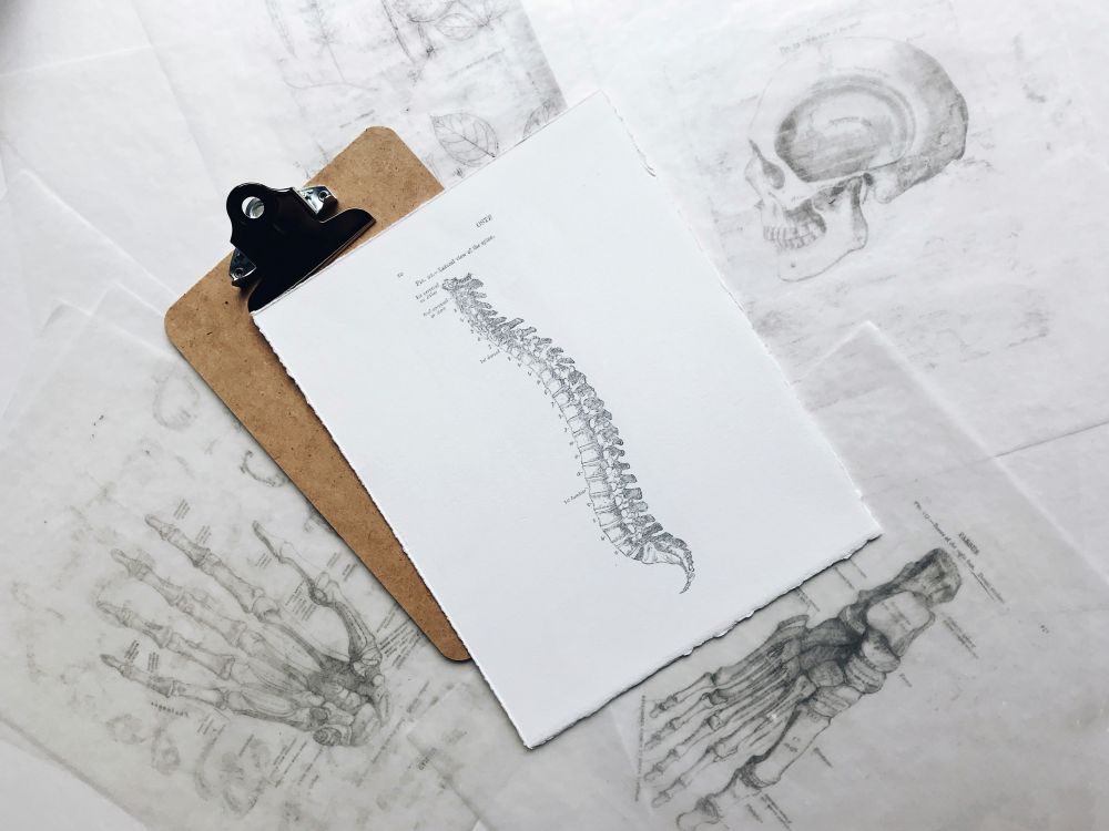 Massage: En effektiv behandling af muskel- og skeletproblemer