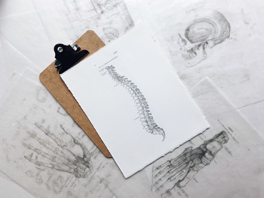 Kom smerter og stivhed i kroppen til livs hos din kiropraktor på Frederiksberg